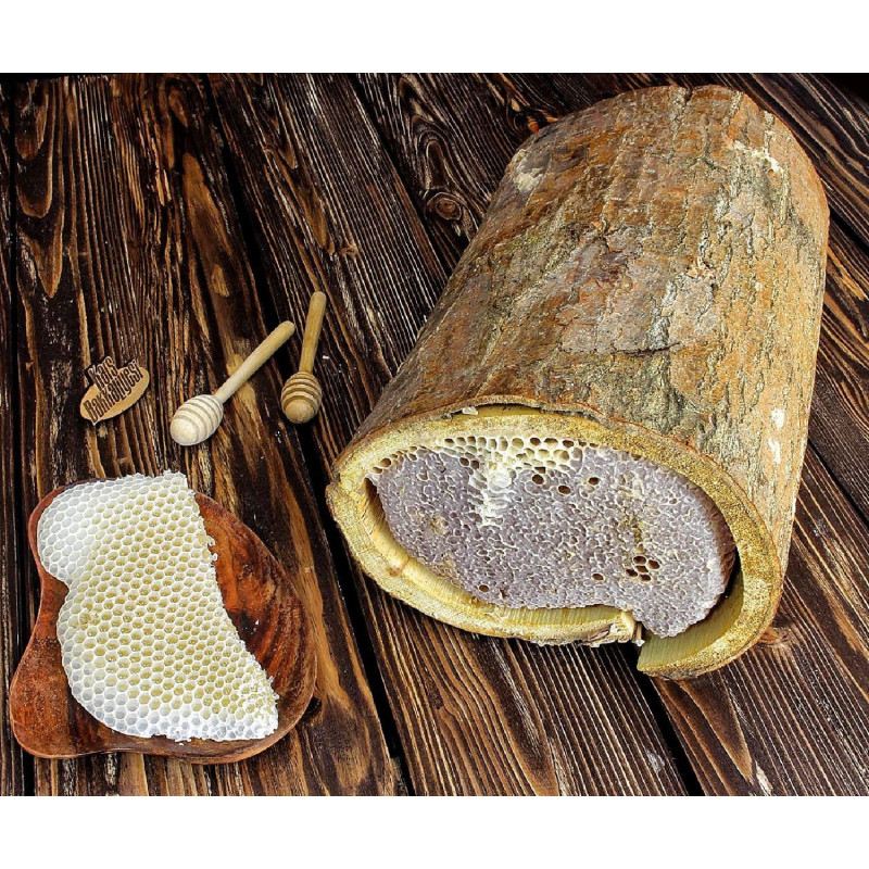 Ağaç kütüğünün içinde üretilmiş şekersiz doğal karakovan petek bal