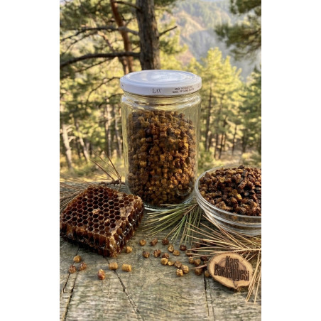 Arıların doğadan topladığı polenleri özel enzimlerle işleyerek ürettiği arı ekmeği perga, vitamin, mineral ve amino asit açısınd